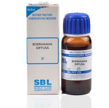 Boerhaavia diffusa Q 30 ml SBL - The Homoeopathy Store