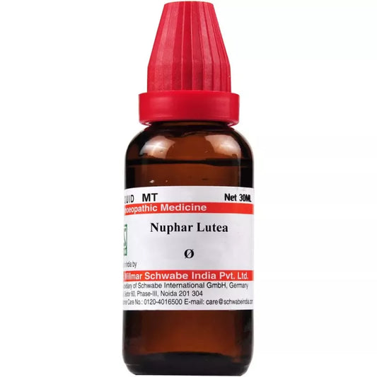 Willmar Schwabe Nuphar lutea Q 30 ml - Dr. Willmar Schwabe India- The Homoeopathy Store