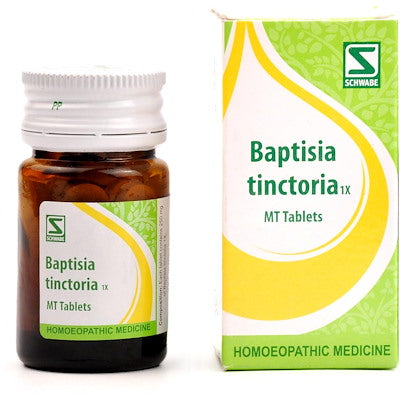 Baptisia tinctoria 1x tabs - Dr. Willmar Schwabe India- The Homoeopathy Store