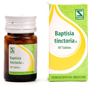 Baptisia tinctoria 1x tabs - The Homoeopathy Store
