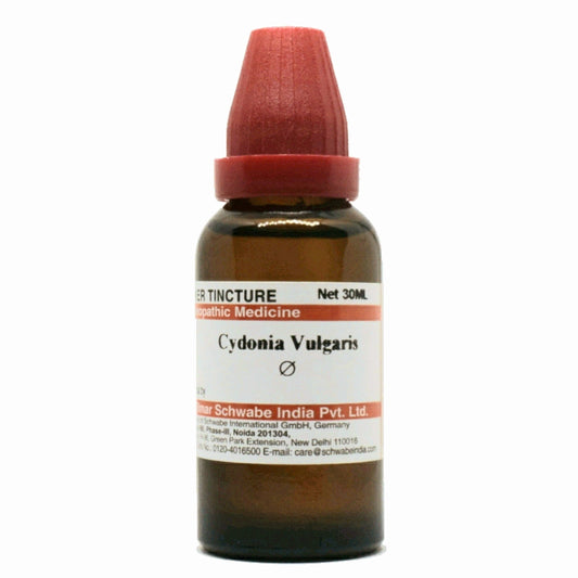 Cydonia vulgaris Q schwabe - Dr. Willmar Schwabe India- The Homoeopathy Store