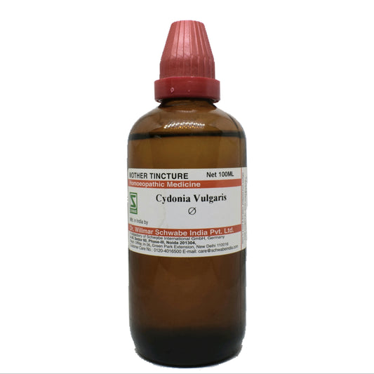 Cydonia vulgaris Q schwabe 100 ml - Dr. Willmar Schwabe India- The Homoeopathy Store