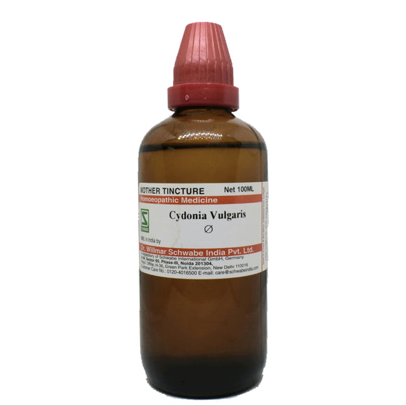 Cydonia vulgaris Q schwabe 100 ml - The Homoeopathy Store