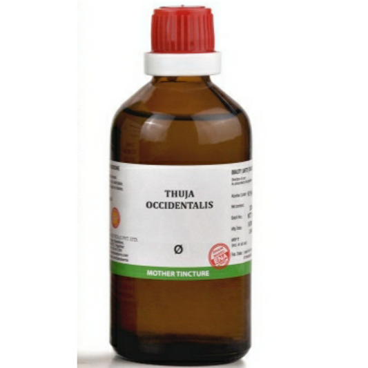 Thuja Occidentalis Q 100 ml Bjain - Bjain- The Homoeopathy Store