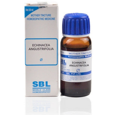 SBL Echinacea angustifolia Q 30 ml - SBL- The Homoeopathy Store