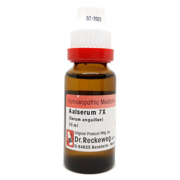 Aal Serum 7x Dr. Reckeweg - The Homoeopathy Store