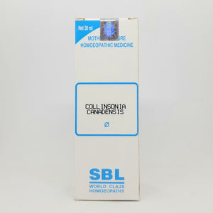 SBL Collinsonia canadensis Q 30 ml - The Homoeopathy Store