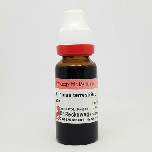 Tribulus terrestris Q Dr. Reckeweg - Dr. Reckeweg- The Homoeopathy Store