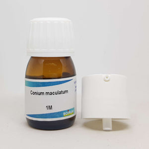 Conium maculatum 1M Boiron 20 ml - The Homoeopathy Store