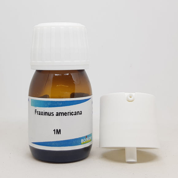 Fraxinus americana 1M Boiron 20 ml - The Homoeopathy Store