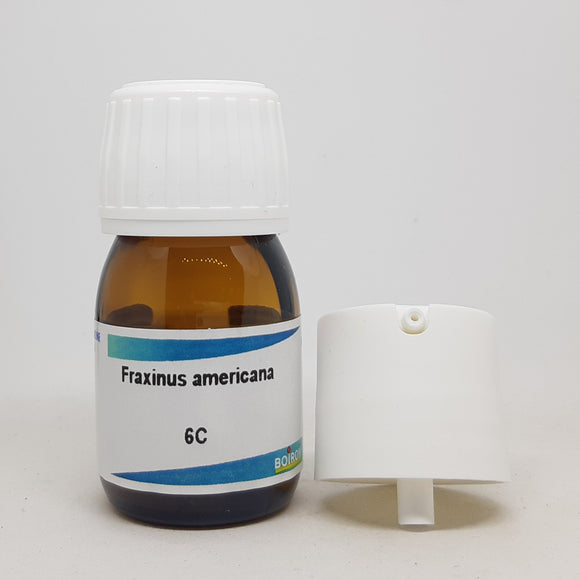 Fraxinus americana 6C Boiron 20 ml - The Homoeopathy Store