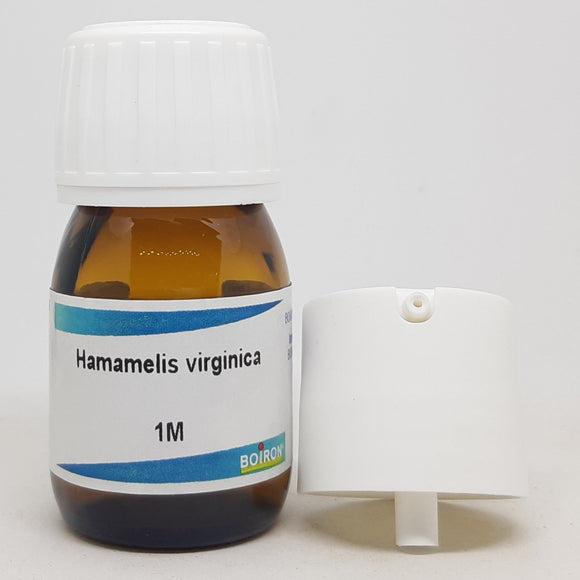 Hamamelis virginica 1M Boiron 20 ml - The Homoeopathy Store
