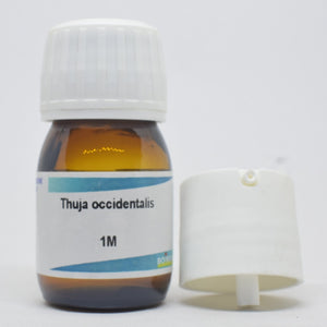 Thuja occidentalis 1M 20 Ml Boiron - The Homoeopathy Store
