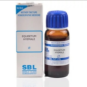 Equisetum hyemale Q 30 ml SBL - SBL- The Homoeopathy Store