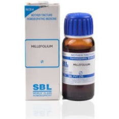 Millifolium Q 30 ml SBL - SBL- The Homoeopathy Store