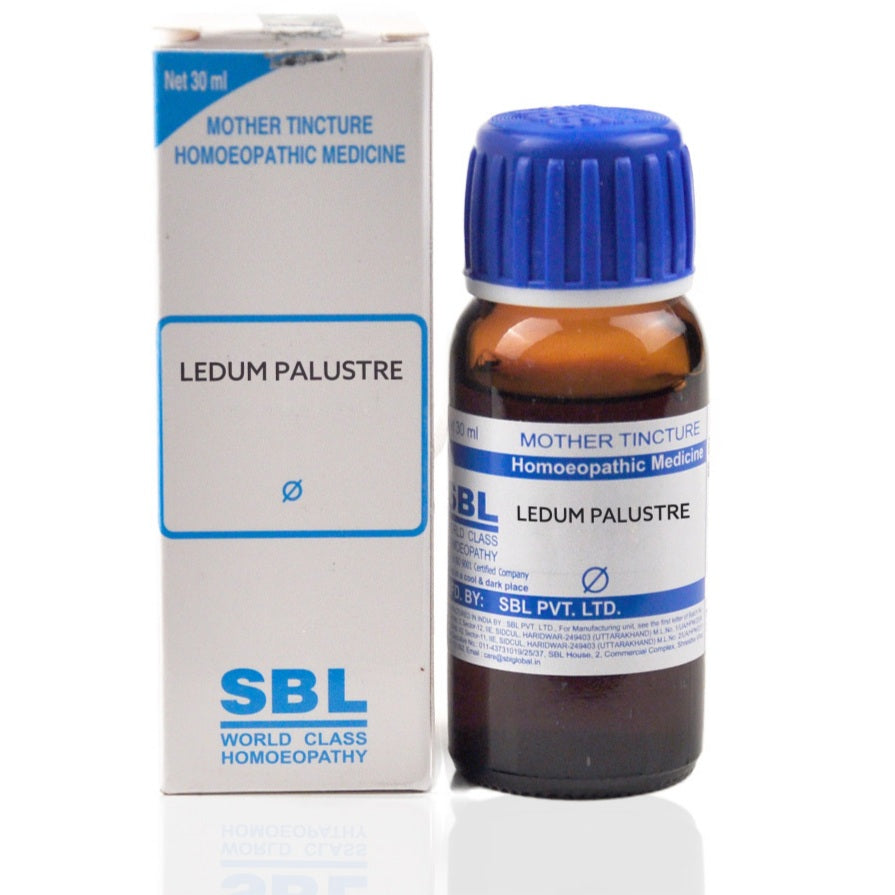 SBL Ledum palustre Q 30 ml - SBL- The Homoeopathy Store