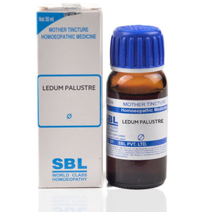 SBL Ledum palustre Q 30 ml - The Homoeopathy Store