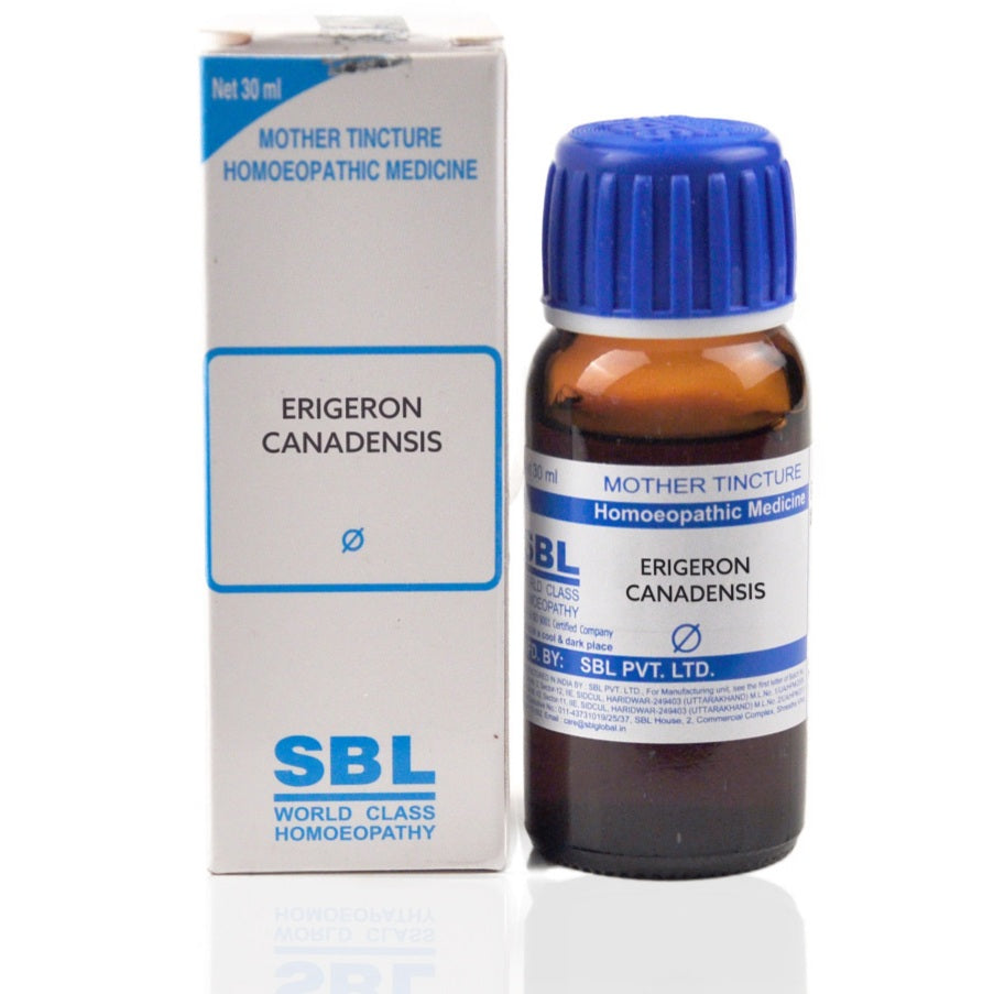 SBL Erigeron canadense Q 30 ml - SBL- The Homoeopathy Store