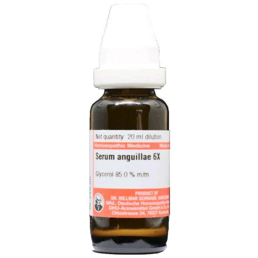 Serum Anguillae 6X  Dr. Willmar Schwabe Germany Dilution - Dr. Willmar Schwabe Germany- The Homoeopathy Store