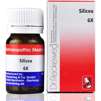 Silicea 6X Dr.Reckeweg - Dr. Reckeweg- The Homoeopathy Store