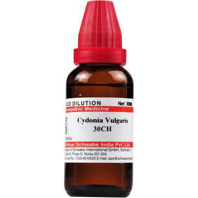 Cydonia vulgaris 30CH 30ml Schwabe - The Homoeopathy Store