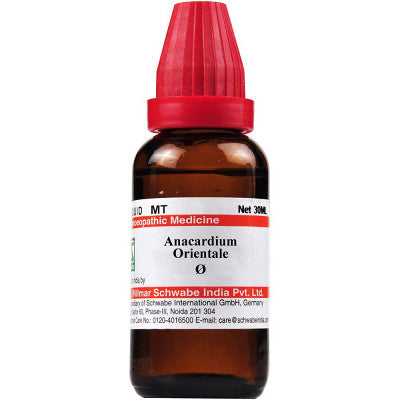 Anacardium orientale Schwabe Q 30 ml - The Homoeopathy Store