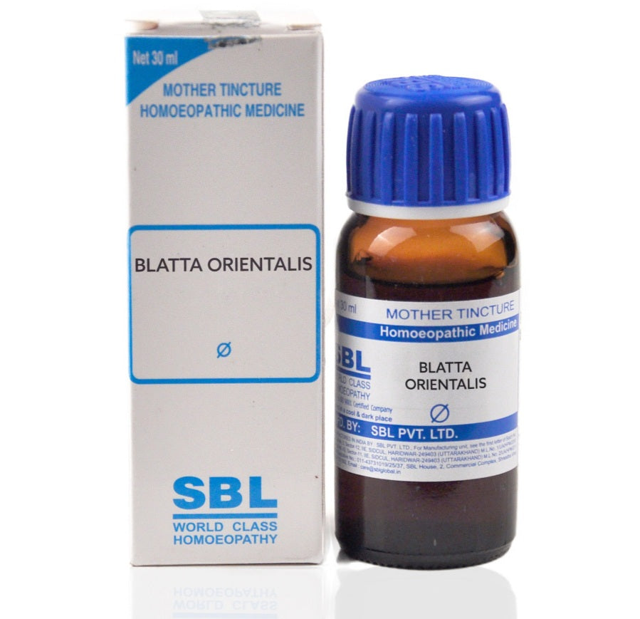 SBL Blatta orientalis Q 30 ml - SBL- The Homoeopathy Store