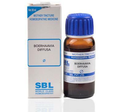 Boerhaavia diffusa Q 30 ml SBL - SBL- The Homoeopathy Store