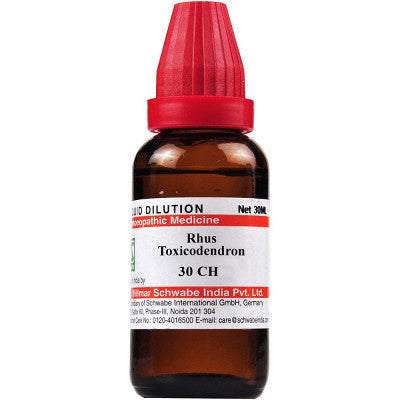 Rhus toxicodendron 30 CH 30 ml Schwabe - Dr. Willmar Schwabe India- The Homoeopathy Store