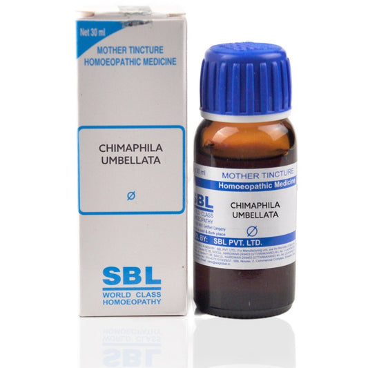 Chimaphila umbellata Q 30 ml SBL - SBL- The Homoeopathy Store