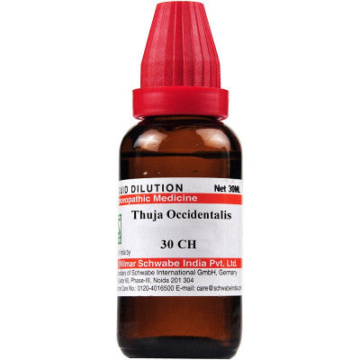 Thuja Occidentalis 30ch 30 ml - Dr. Willmar Schwabe India- The Homoeopathy Store