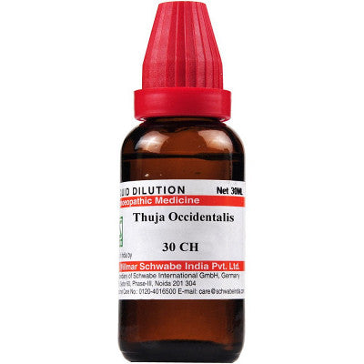 Thuja Occidentalis 30ch 30 ml - The Homoeopathy Store