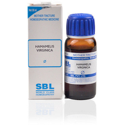 SBL Hamamelis virginica Q 30 ml - SBL- The Homoeopathy Store