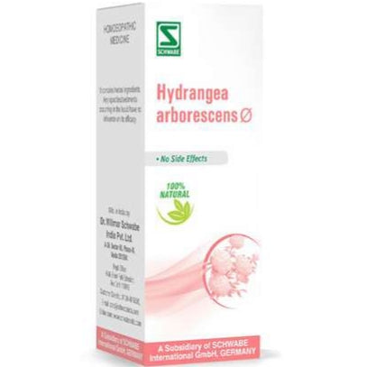 Hydrangea arborescens Q Schwabe 30 ml - Dr. Willmar Schwabe India- The Homoeopathy Store