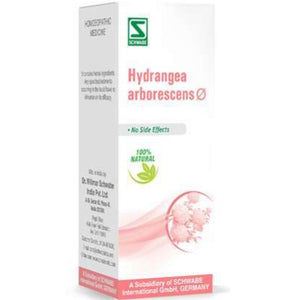 Hydrangea arborescens Q Schwabe 30 ml - The Homoeopathy Store