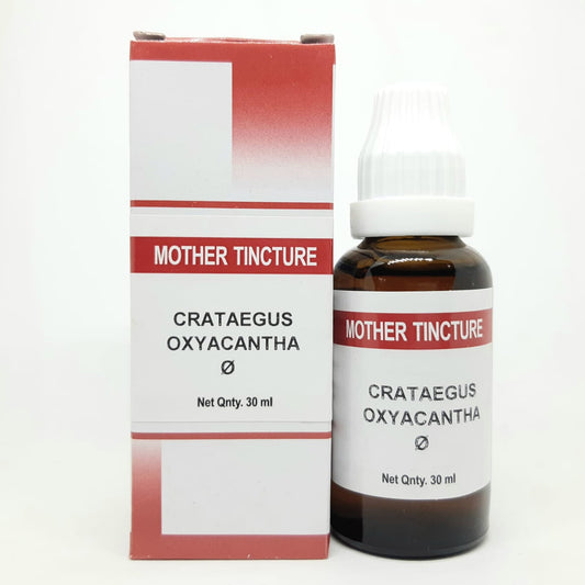 Crataegus Oxyacantha Q 30 ml Bakson - Bakson- The Homoeopathy Store