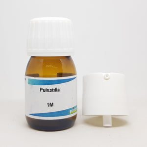 Pulsatilla nigricans 1M 20 ml Boiron - The Homoeopathy Store