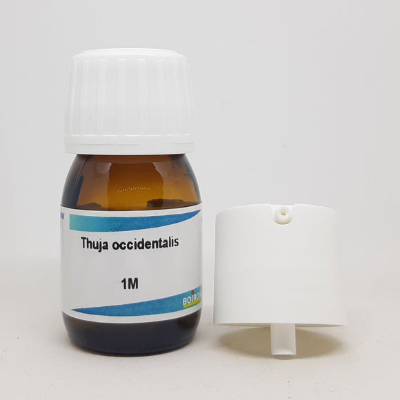 Thuja occidentalis1M 20 ml Boiron - The Homoeopathy Store