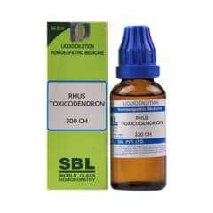 Rhus toxicodendron 200 CH SBL - SBL- The Homoeopathy Store