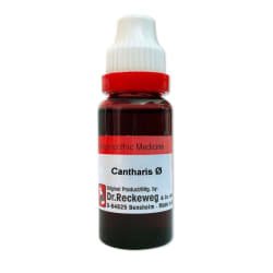 Cantharis Q - The Homoeopathy Store