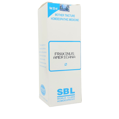 SBL Fraxinus americana Q 30 ml - The Homoeopathy Store