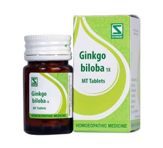 Ginkgo biloba 1x MT tabs - Dr. Willmar Schwabe India- The Homoeopathy Store