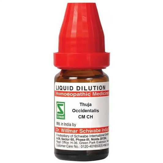 Thuja Occidentalis CM 10 ml Schwabe - Dr. Willmar Schwabe India- The Homoeopathy Store