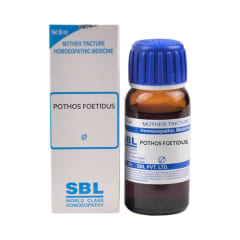 SBl Pothos Foetidus  Q 30 ml - The Homoeopathy Store
