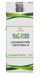 Lachnanthes tinctoria Q Allen 30 ml - The Homoeopathy Store